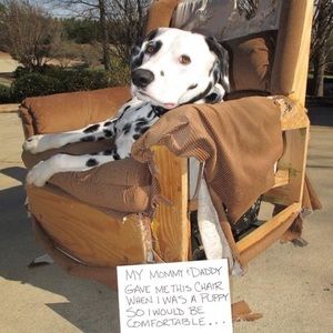 Meet your Posher, Joanne